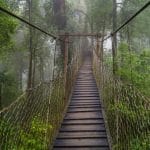 kalimpong-feature-compressed